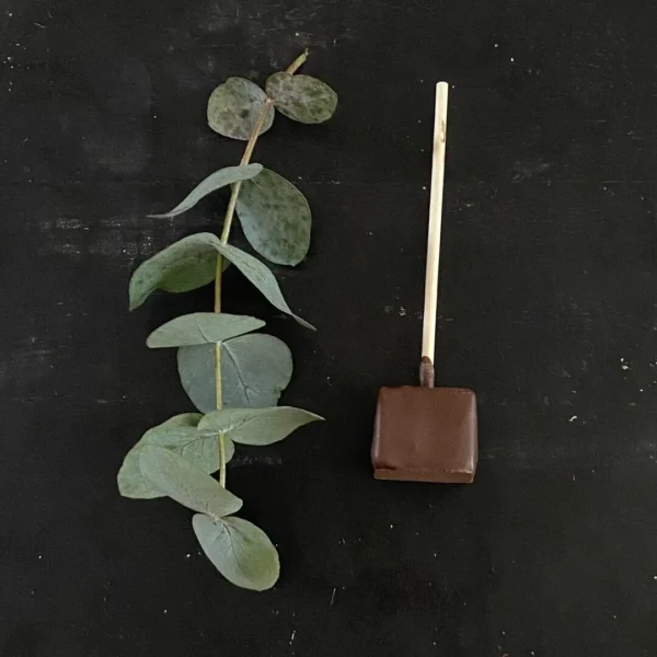 Choc-o-lait spoon
