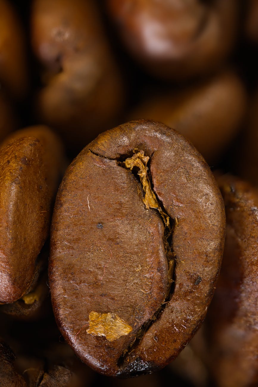 verschil supermarkt koffie en vers gebrand